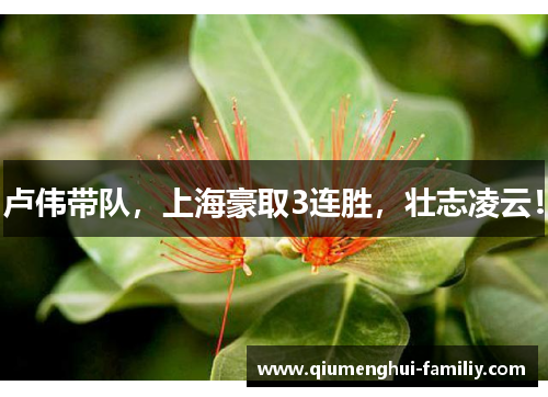 卢伟带队，上海豪取3连胜，壮志凌云！