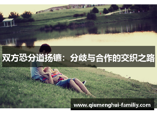 双方恐分道扬镳：分歧与合作的交织之路