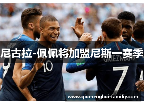 尼古拉-佩佩将加盟尼斯一赛季